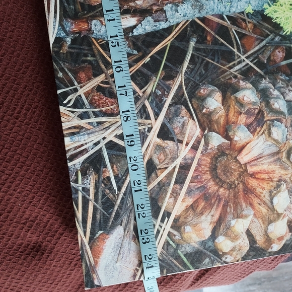 Pine cone canvas painting - Picture 4 of 5